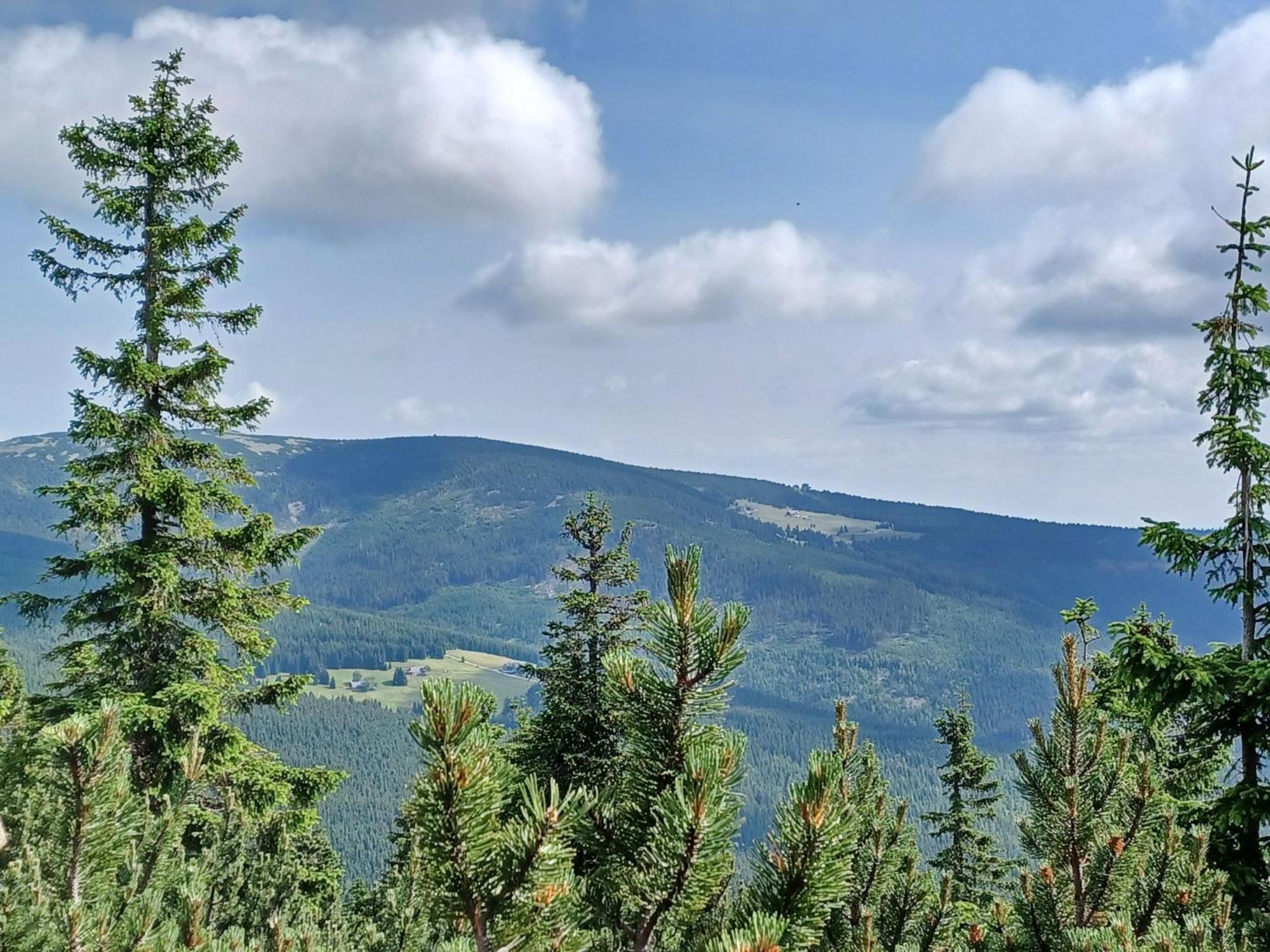 Holiday Home Holiday Hill E52 By Interhome Černý Dŭl Kültér fotó
