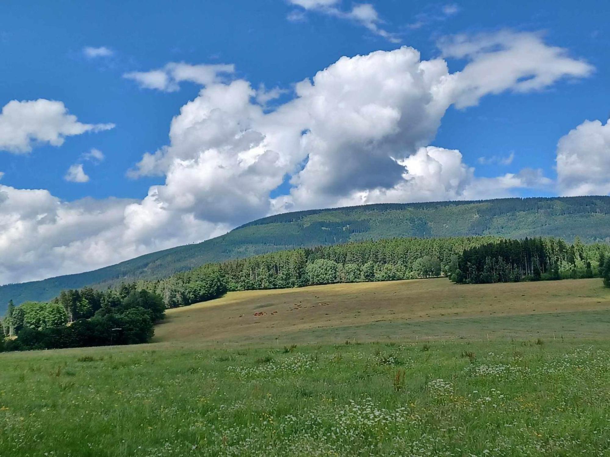 Holiday Home Holiday Hill E52 By Interhome Černý Dŭl Kültér fotó